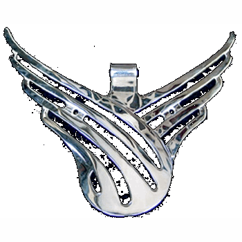 GRILLEVLEUGEL SLINGERGAT