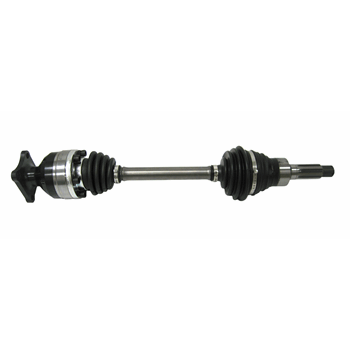 AANDRIJFAS RV HOMOKINEET LDRAAD