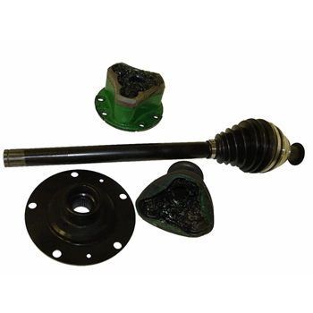 AANDRIJFAS LINKS + TRIPOIDE