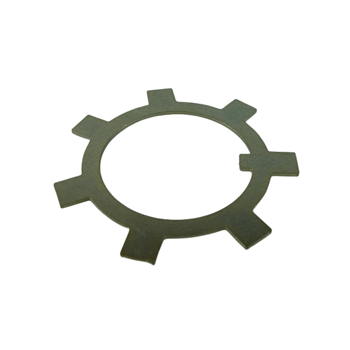 BORGPLAAT BINNENMOER VOORWIEL