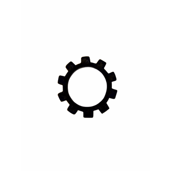 BORGRING DYNAMOPOELIE MOER