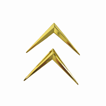 CHEVRON ACHTERKLEP GOUD