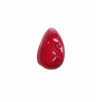 CLIGNOTEURKAP ACHTER ROOD CLIGNOTEURKAP ACHTER ROOD