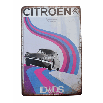 METAAL BORD CITROEN DS (2)