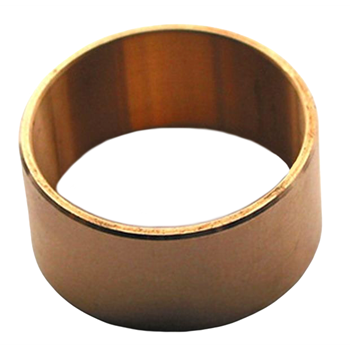 REMSCHOEN LAGERBUS BRONS